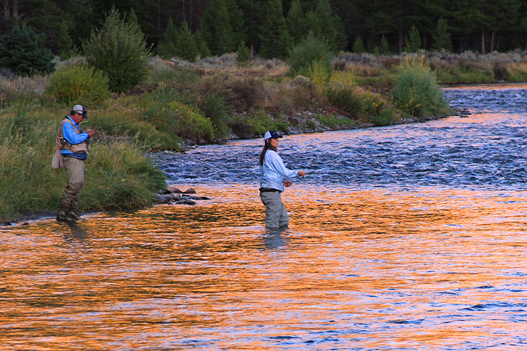 Evening Activities in Whitefish MT & Flathead Valley