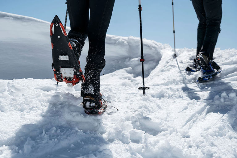 Evening Snowshoeing Adventure - The Bar W - Whitefish MT