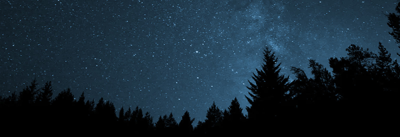 The Bar W Guest Ranch - Whitefish MT - Evening Snowshoe Excursion