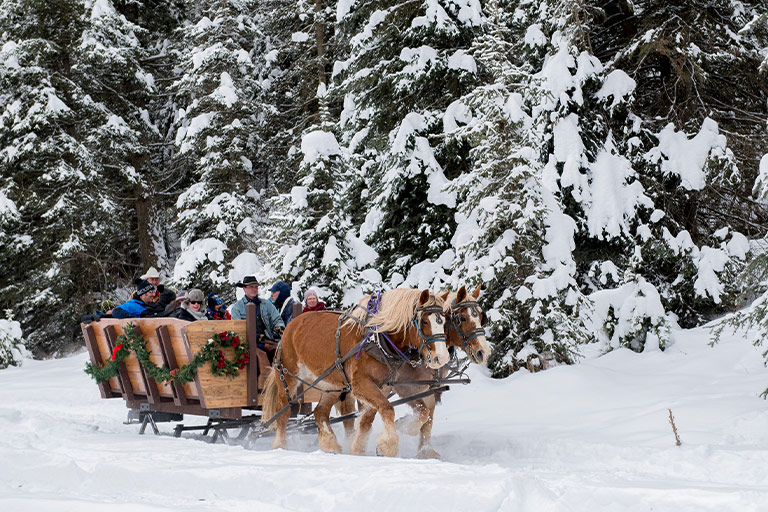 Fall & Winter Nightly Stays at the Bar W Guest Ranch in Whitefish Montana