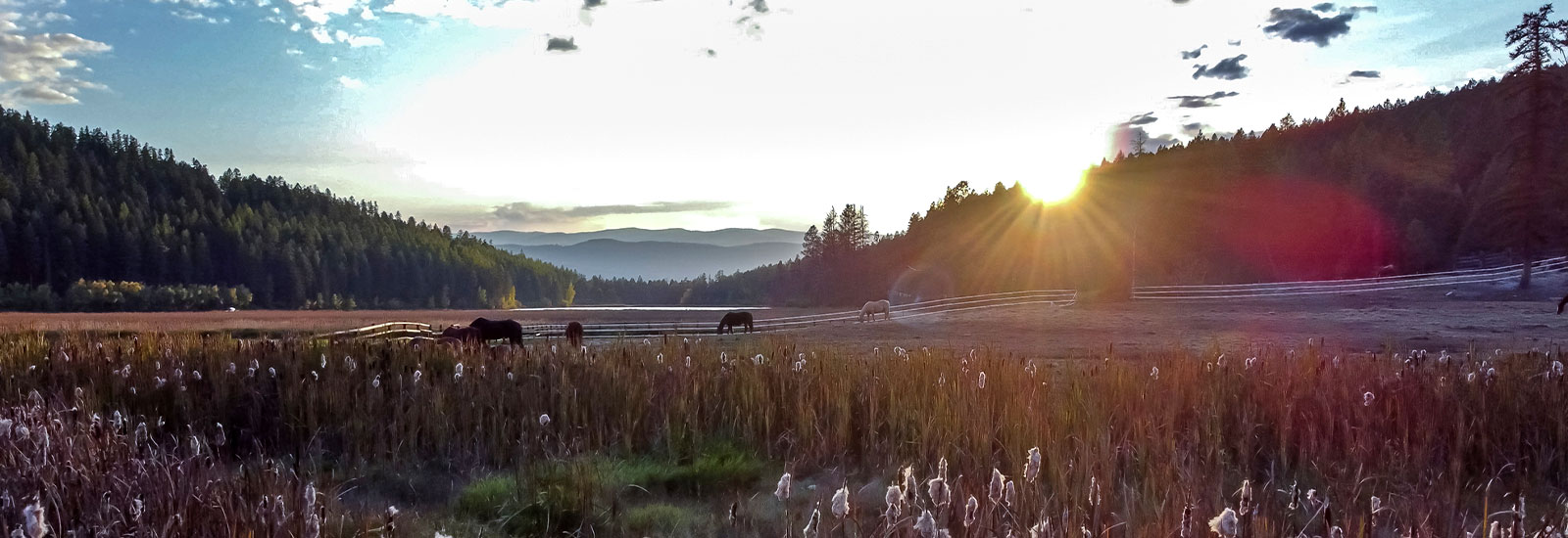 The Bar W Guest Ranch - Whitefish MT - Fall & WIntery Nightly Stays & Lodging