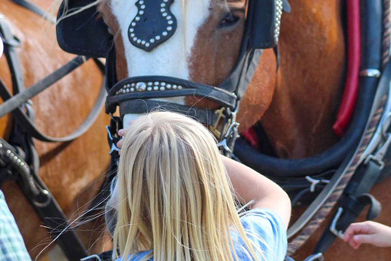 Public Horseback Trail Rides at the Bar W Guest Ranch in Whitefish Mt