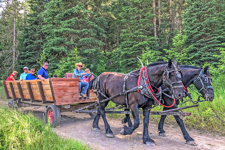 Public Horseback Trail Rides at the Bar W Guest Ranch in Whitefish Mt