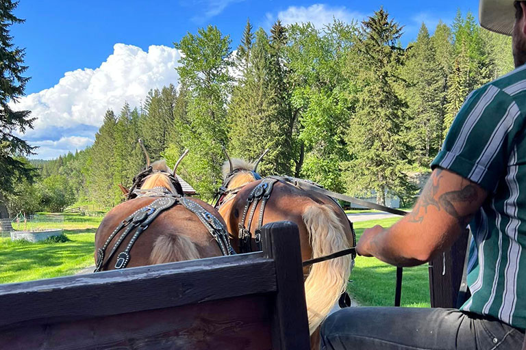 Public Horseback Trail Rides at the Bar W Guest Ranch in Whitefish Mt
