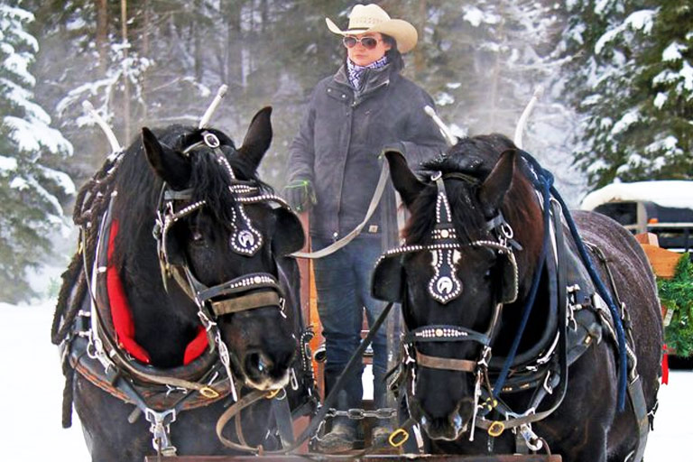 Great Norther Backcountry Cat Ski & Ride Tours at the Bar W Guest Ranch in Whitefish MT
