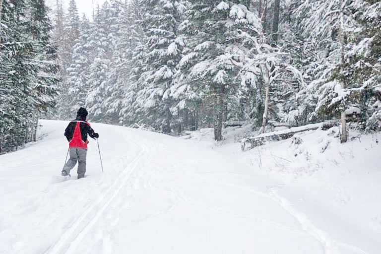 The Bar W - Whitefish Montana - Half Day Snowshoeing