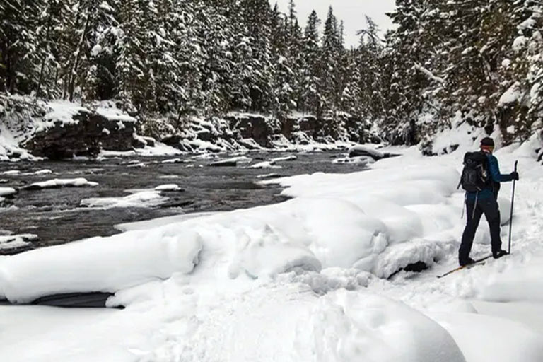 Half-Day Snowshoeing Trips at the Bar W Guest Ranch in Whitefish MT