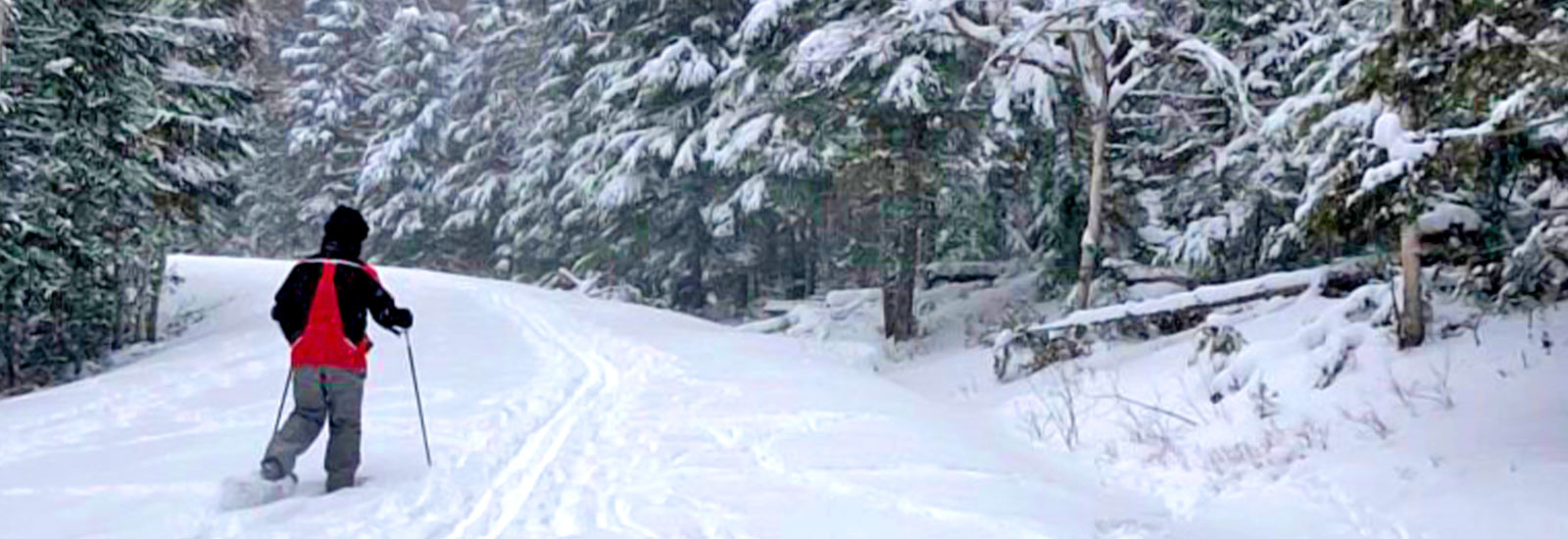 The Bar W Guest Ranch - Whitefish MT - Half-Day SnowShoeing