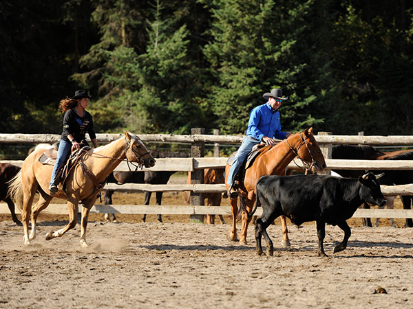 Horse Activies Trail Rides Whitefish Mt