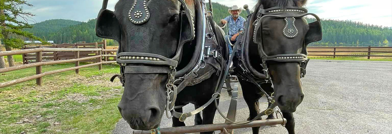 The Bar W Guest Ranch - Whitefish MT - Public Trail Rides