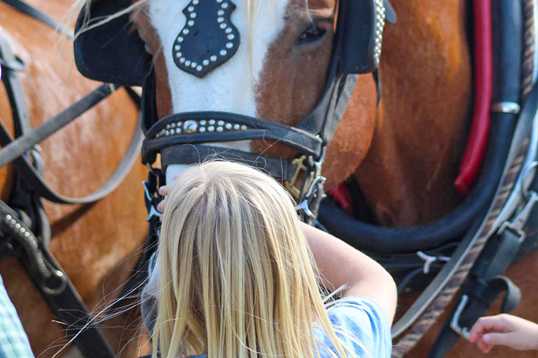 Public Horseback Trail Rides at the Bar W Guest Ranch in Whitefish Mt