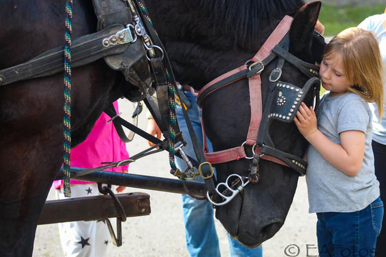 Public Horseback Trail Rides at the Bar W Guest Ranch in Whitefish Mt