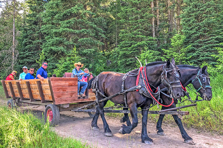 Public Horseback Trail Rides at the Bar W Guest Ranch in Whitefish Mt