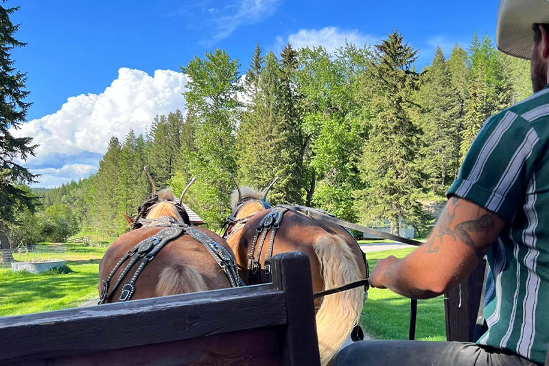 Nightly Stays at the Bar W Guest Ranch in Whitefish Mt