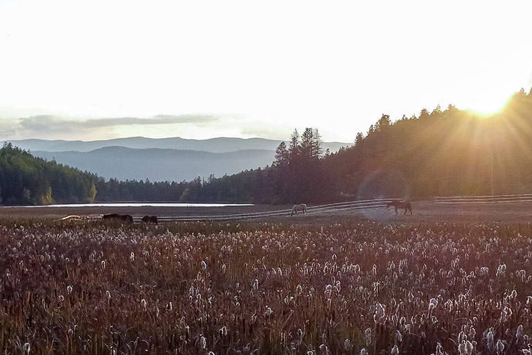 Nightly Stays at the Bar W Guest Ranch in Whitefish Mt