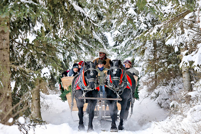 Nightly Stays at the Bar W Guest Ranch in Whitefish Mt