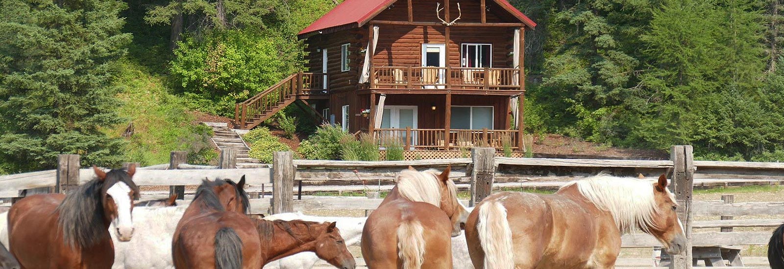 The Bar W Guest Ranch - Whitefish MT - Ranch Values
