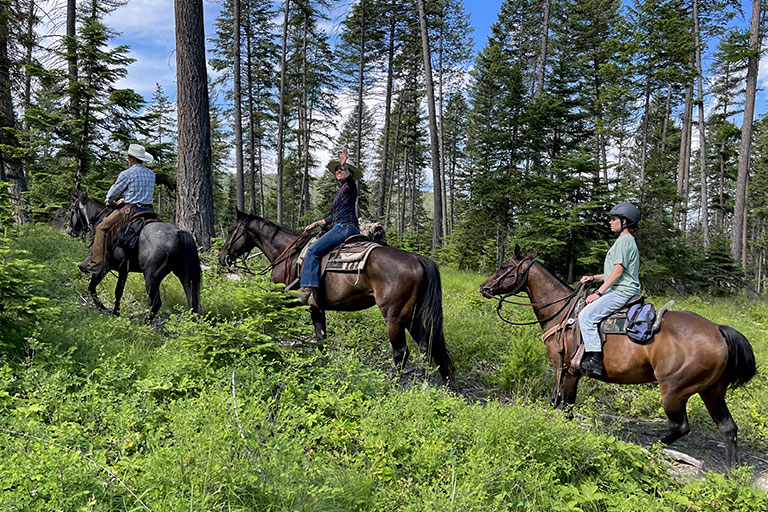 Public Horseback Trail Rides at the Bar W Guest Ranch in Whitefish Mt