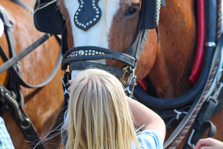 Public Horse Wagon Rides Trail Rides at the Bar W Guest Ranch in Whitefish Mt