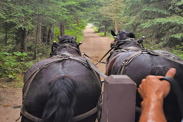 Public Horse Wagon Rides Trail Rides at the Bar W Guest Ranch in Whitefish Mt