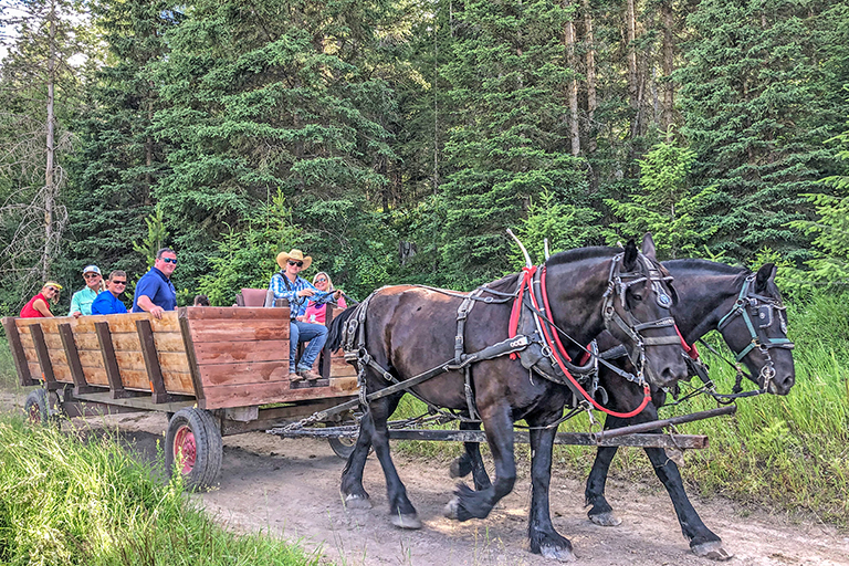 Public Horse Wagon Rides Trail Rides at the Bar W Guest Ranch in Whitefish Mt