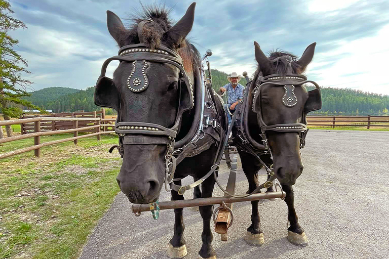 Public Horse Wagon Rides Trail Rides at the Bar W Guest Ranch in Whitefish Mt