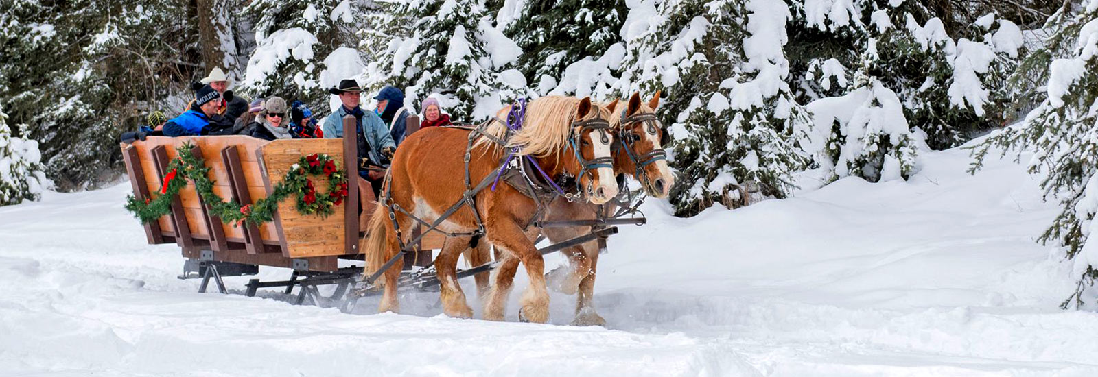 The Bar W Guest Ranch - Whitefish MT - Public Activities