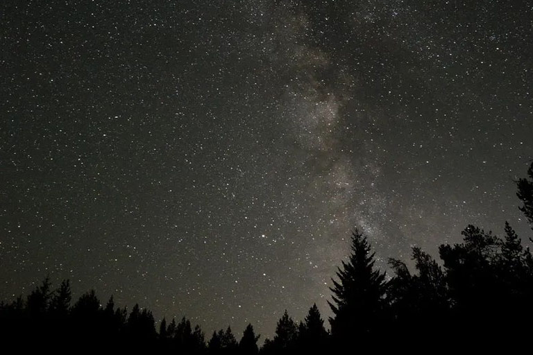 The Bar W - Whitefish Montana - Evening Snowshoeing Excursion
