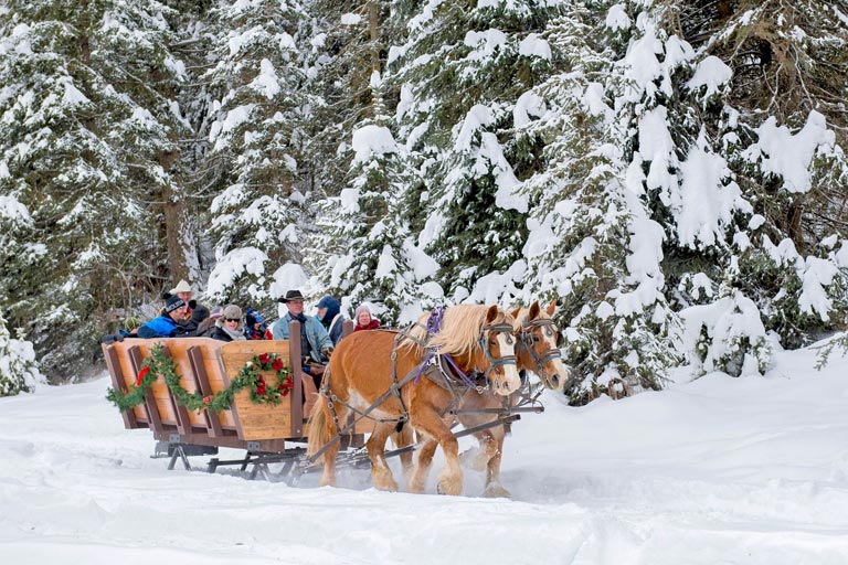 Winter Sleigh Rides at the Bar W Guest Ranch in Whitefish Mt
