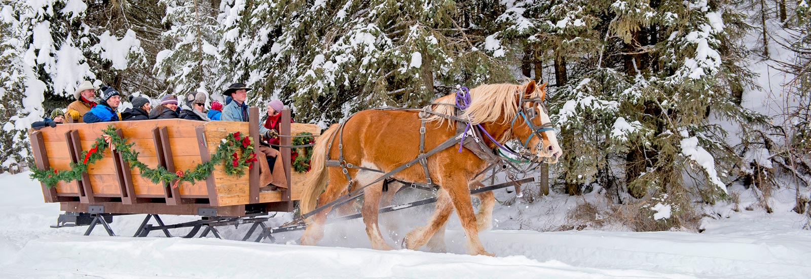 The Bar W Guest Ranch - Whitefish MT - Sleigh Rides