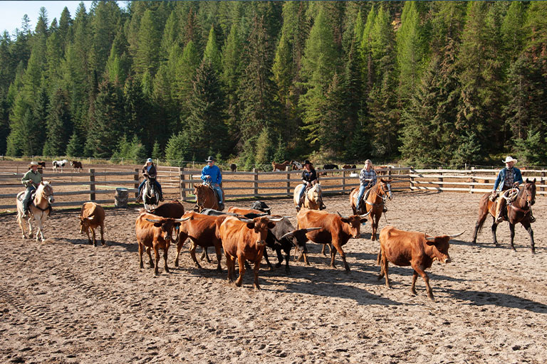 Public Horseback Trail Rides at the Bar W Guest Ranch in Whitefish Mt