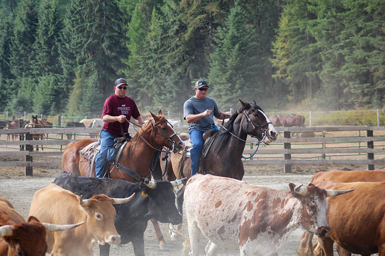 Public Horseback Trail Rides at the Bar W Guest Ranch in Whitefish Mt