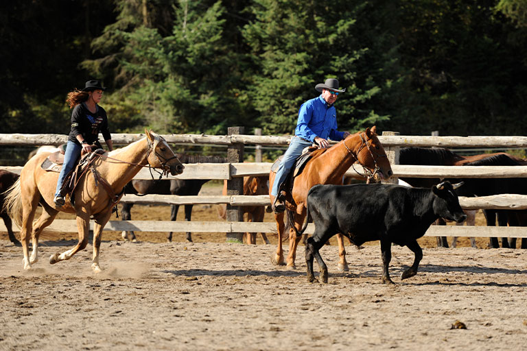 Public Horseback Trail Rides at the Bar W Guest Ranch in Whitefish Mt