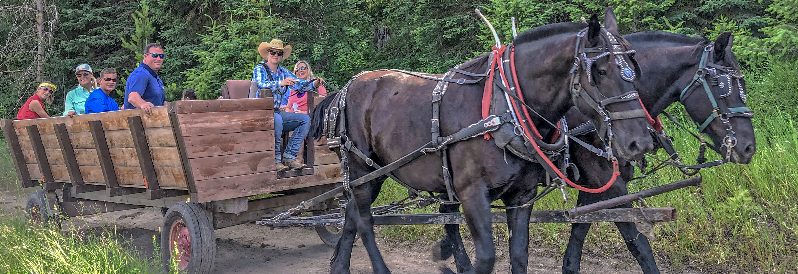 The Bar W Guest Ranch - Whitefish MT - Public Trail Rides